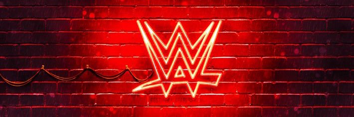 wweshowandshop's banner