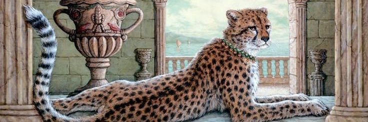 vsilvia32's profile banner image