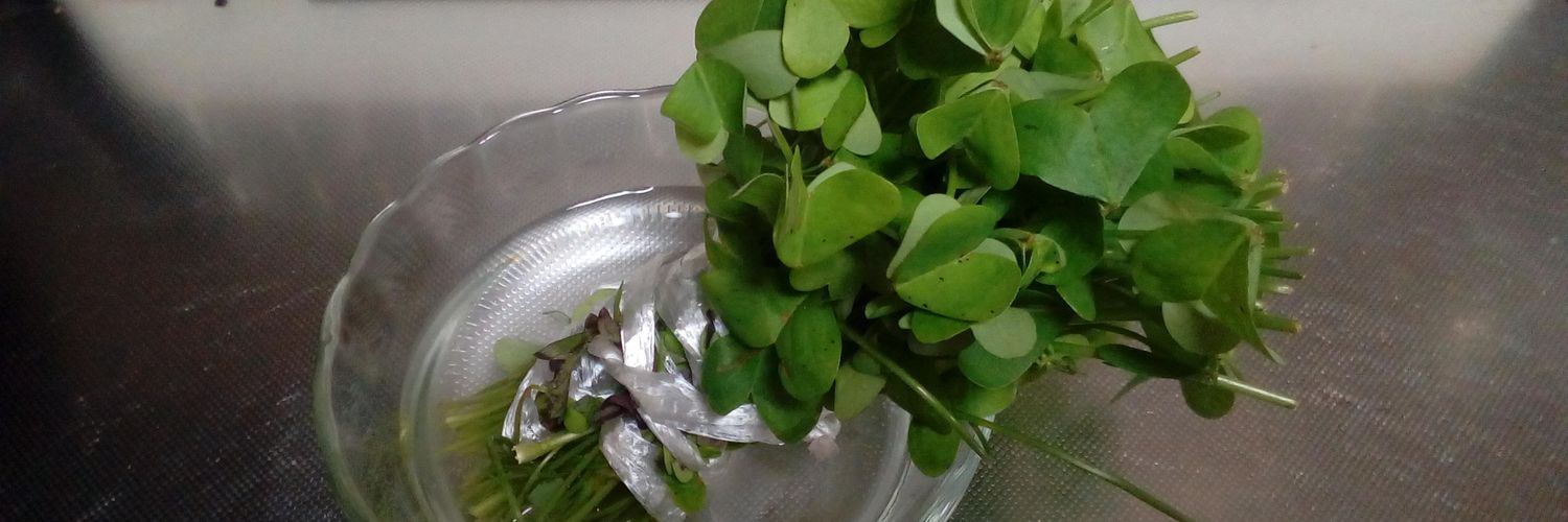 aquavit_m's profile banner image