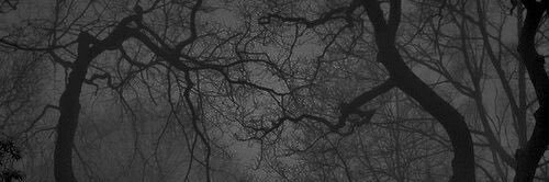 deadgjrl banner