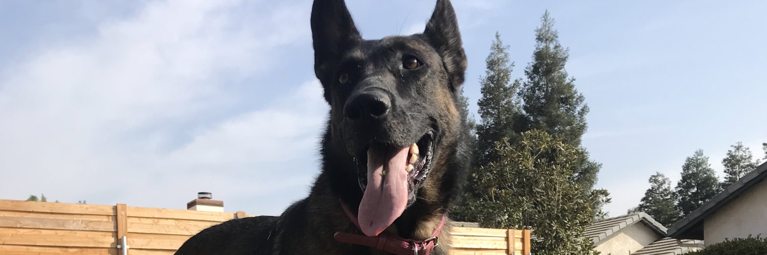 BoscoRotten's profile banner image