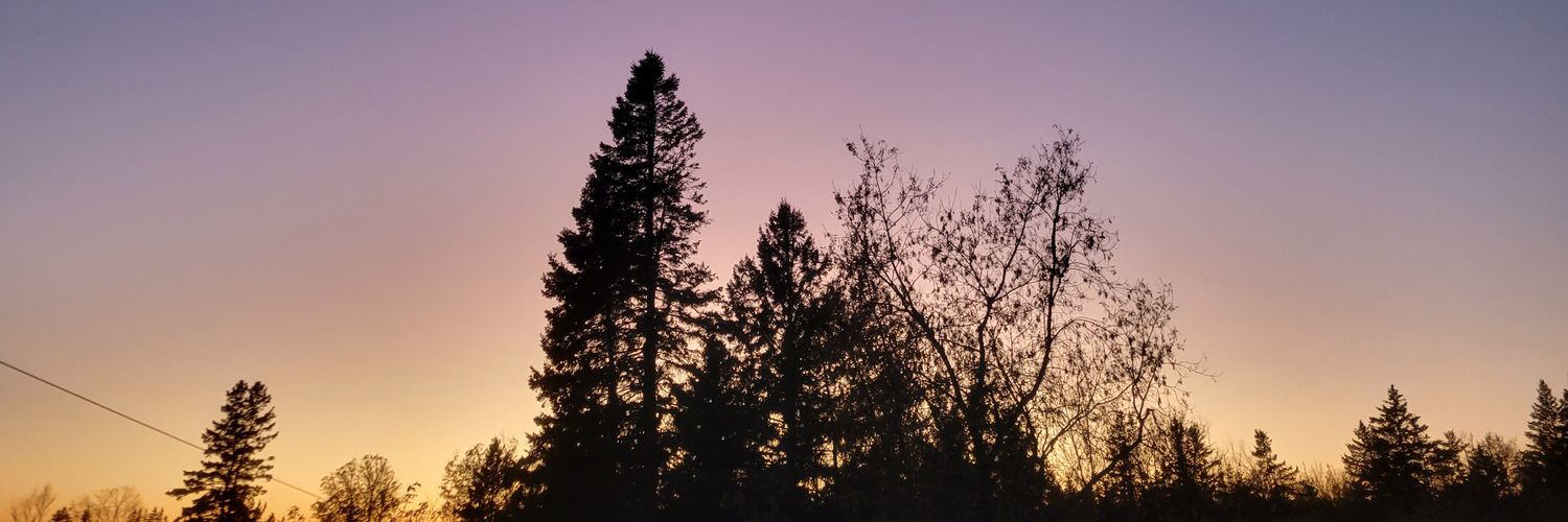 VauxlikeFox_'s profile banner image