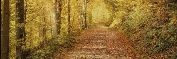 MarshaLooch Profile Banner