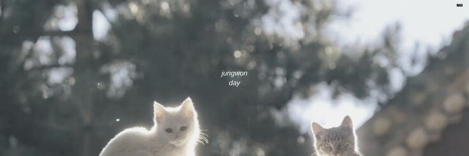 SSJungcat's profile banner image