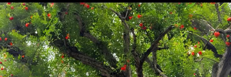 likeitlikes's profile banner image