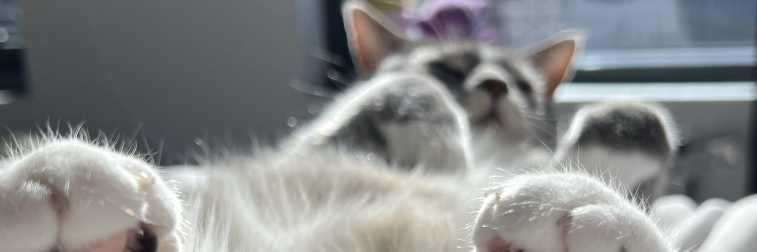 Not a Chalmers banner