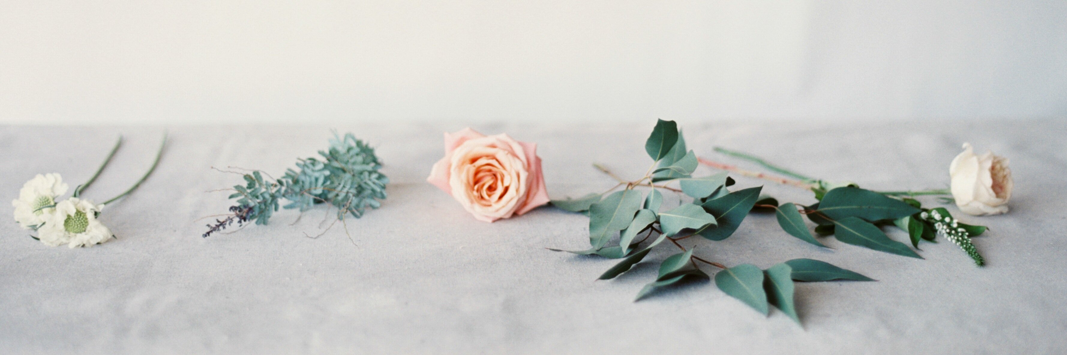 luvsarahsgarden's profile banner image