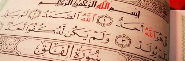 Eltayb33's profile banner image