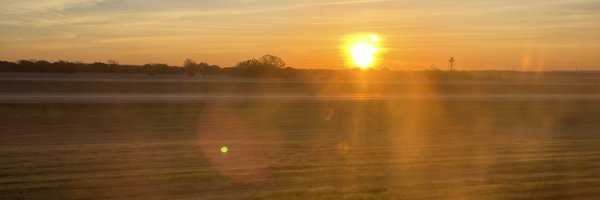 dawgbrained Profile Banner