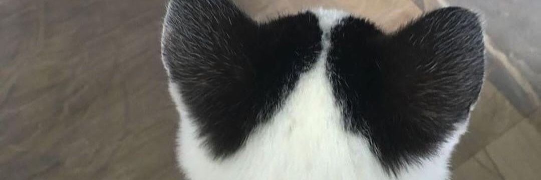 CamiRobledo3's profile banner image