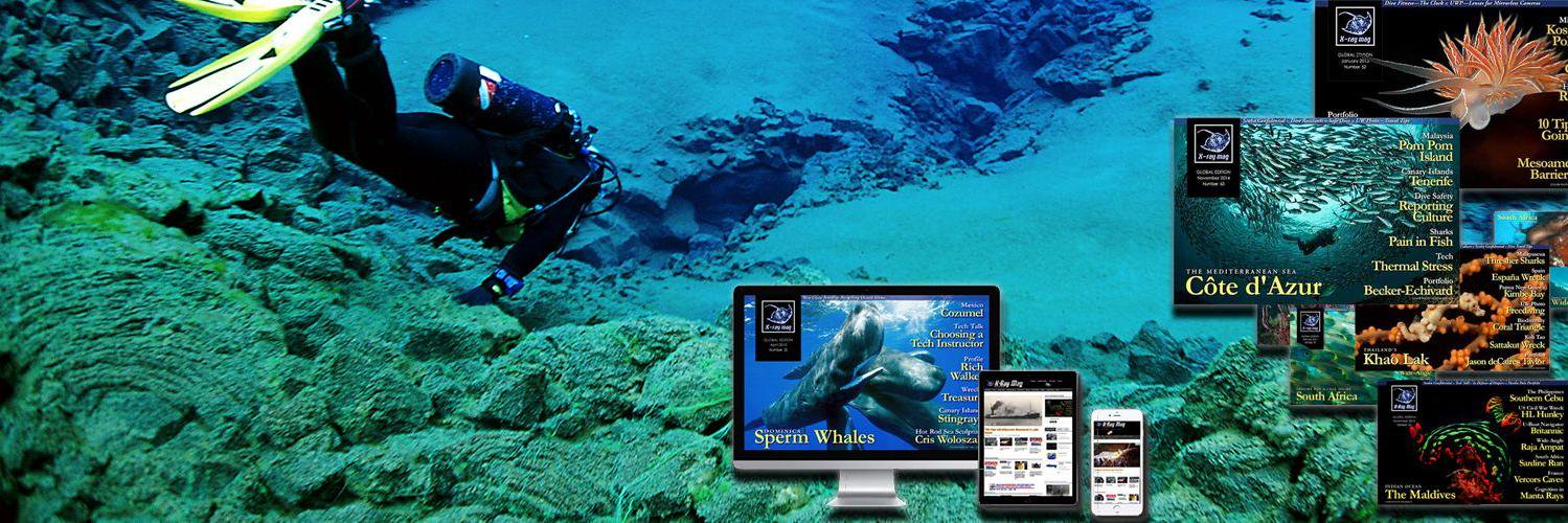 X-Ray  Magazine banner