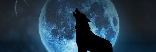 Mid-TN Wolfpack banner