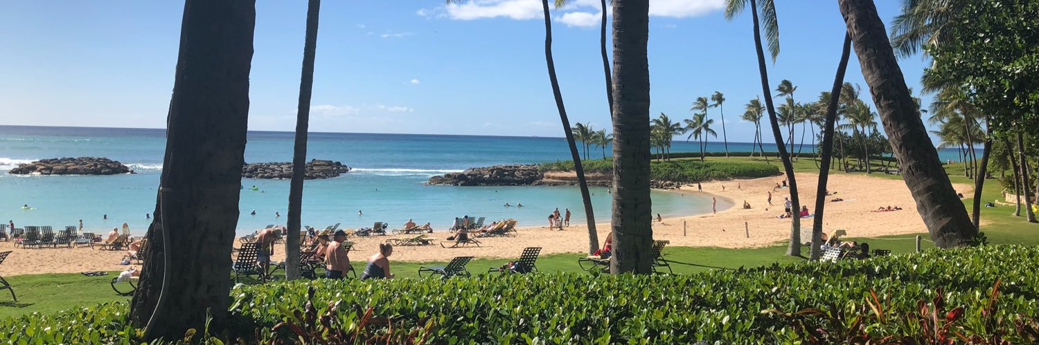 Michelle Alfonso banner