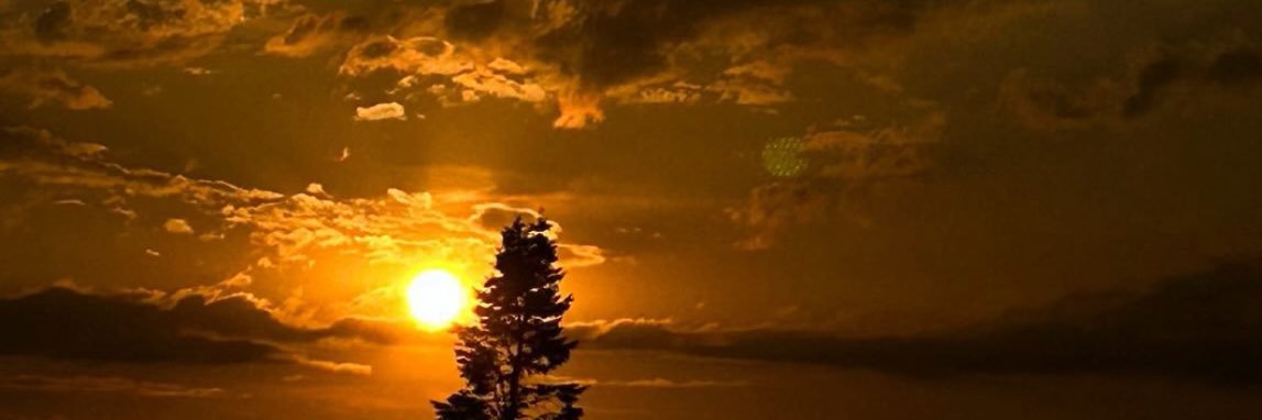 Bah4Aichata's profile banner image