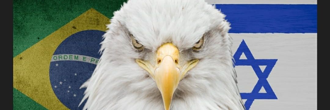 Charpedi's profile banner image