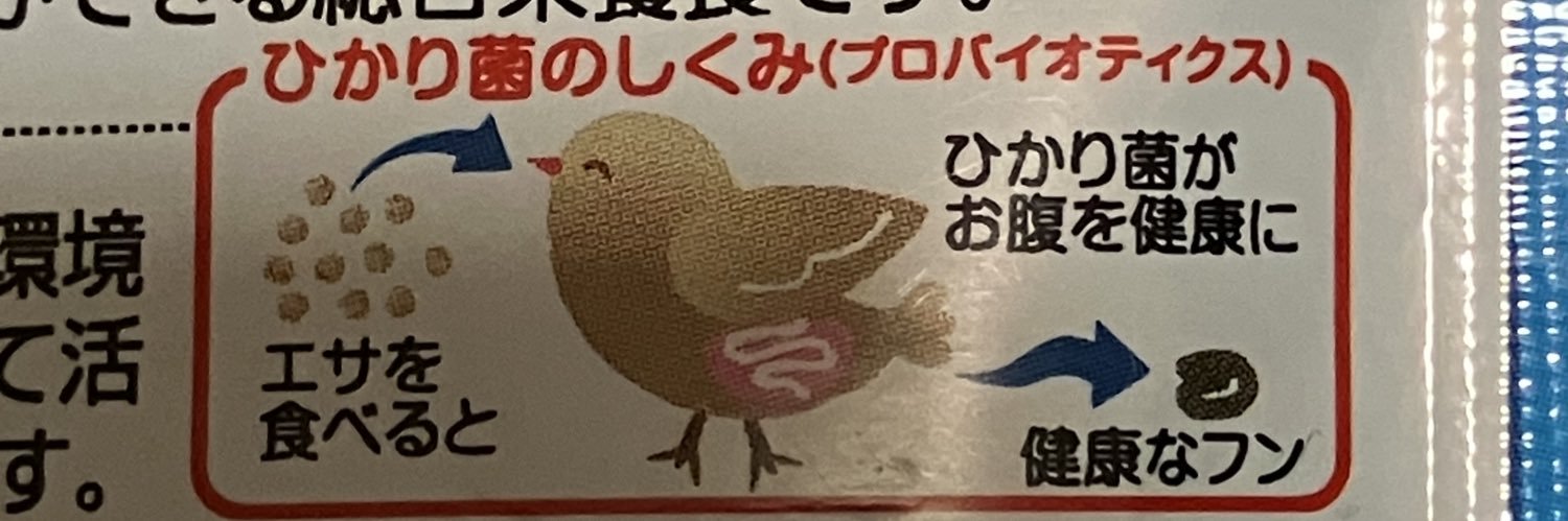 riechiyotiny's profile banner image