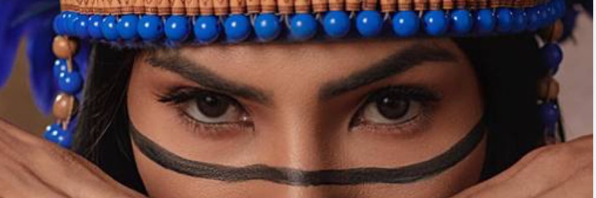 apropriaellen's profile banner image