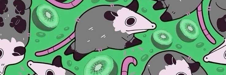 DrTurtleGirl's profile banner image