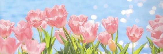 美和 🍮(Slow) banner