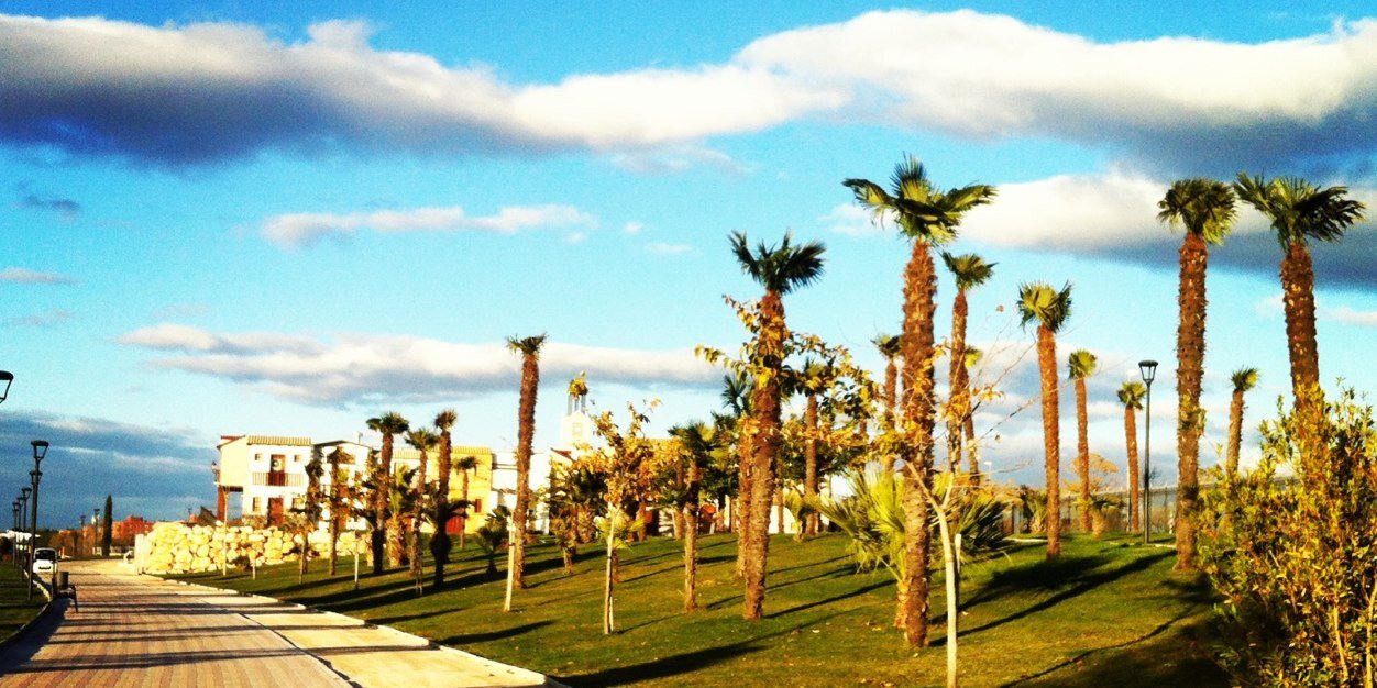 brisa_cross's profile banner image