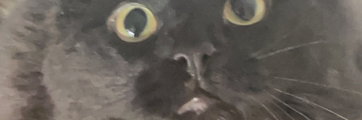 hypokonder's profile banner image