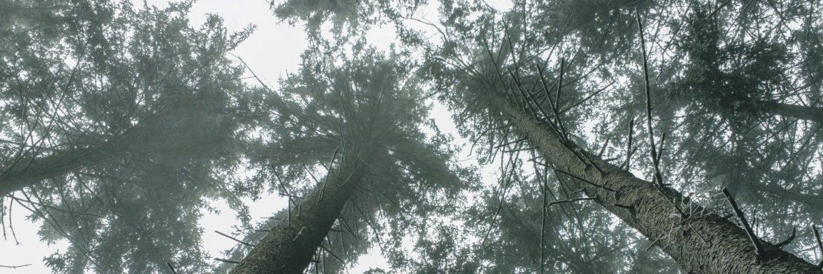 My Name Is Human banner