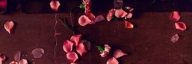 1StephanieSoto's profile banner image