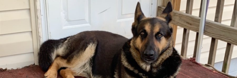 🥳 April 2 ♈️ banner