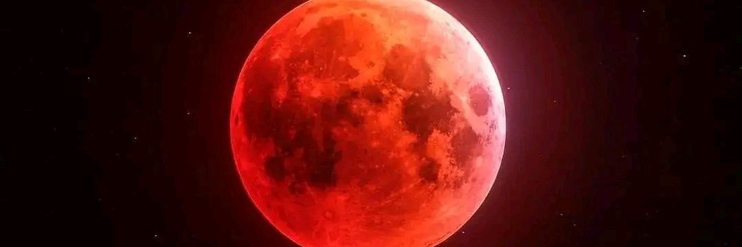 RedMoonNear's profile banner image