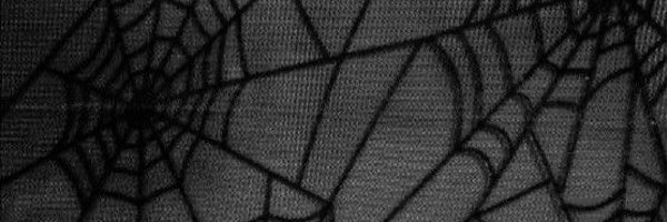 fruttieloom Profile Banner