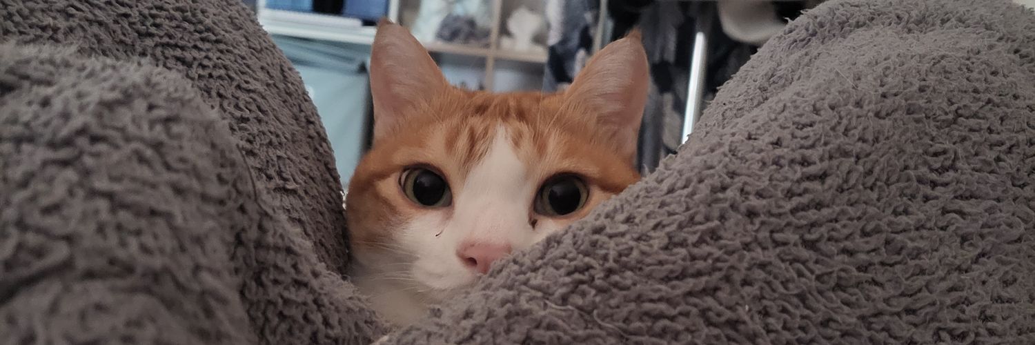 knitedcoma's profile banner image
