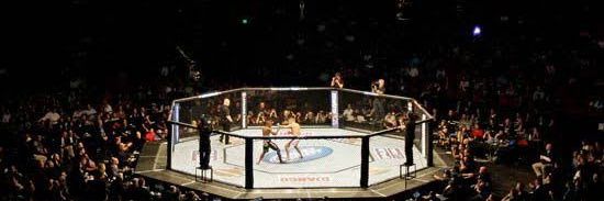 lets.wrestle.kid banner