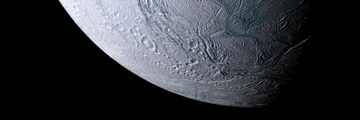 Michael Daugherty 🌳 banner