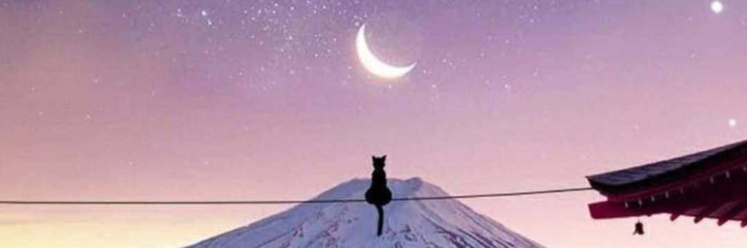 CaraSun99's profile banner image