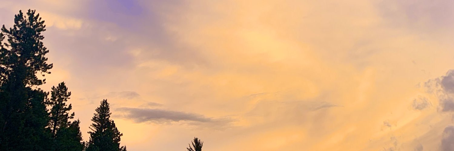 ____itswhatever's profile banner image