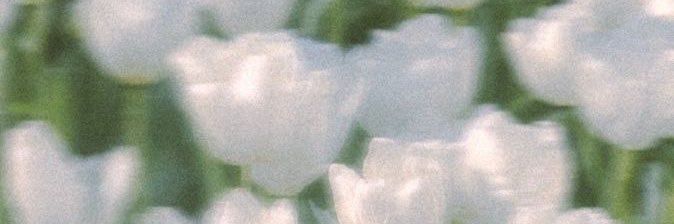 iusnasnat's profile banner image
