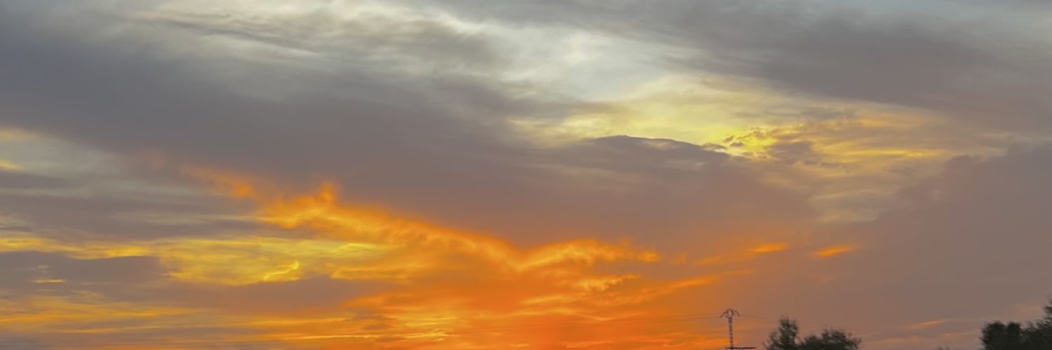 laaluucess's profile banner image