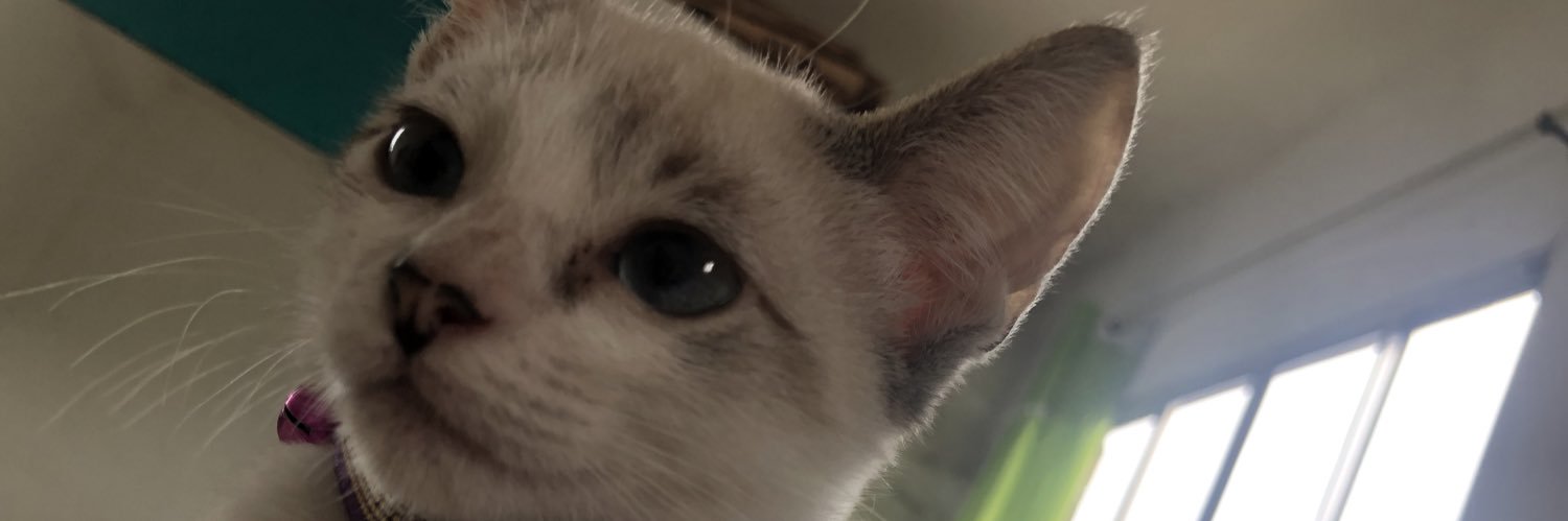 Ravena Milena banner