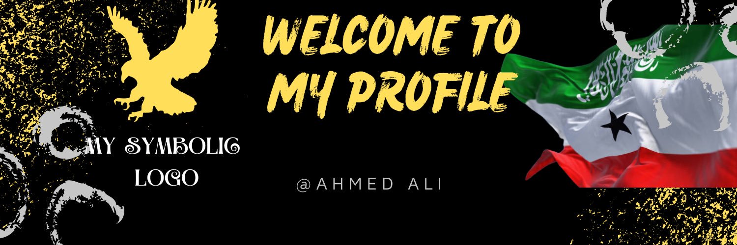 RealA_Aly's profile banner image