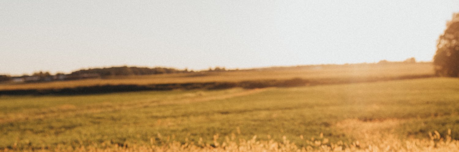 bethanybarnard banner