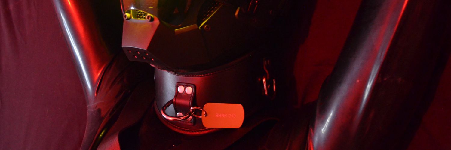 rubberydrone's profile banner image