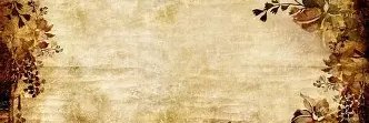 nithibarik16's profile banner image