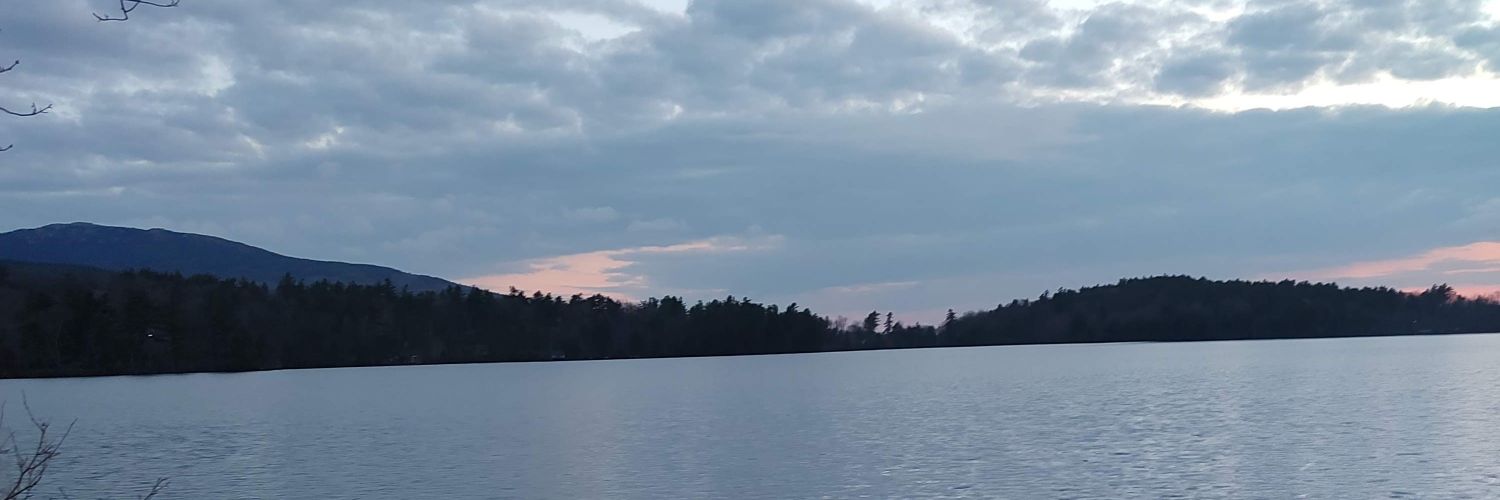 Krysty Kwally banner