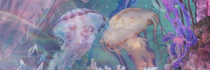 🦊ྀི banner