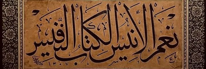 Mahmoud Tarek banner