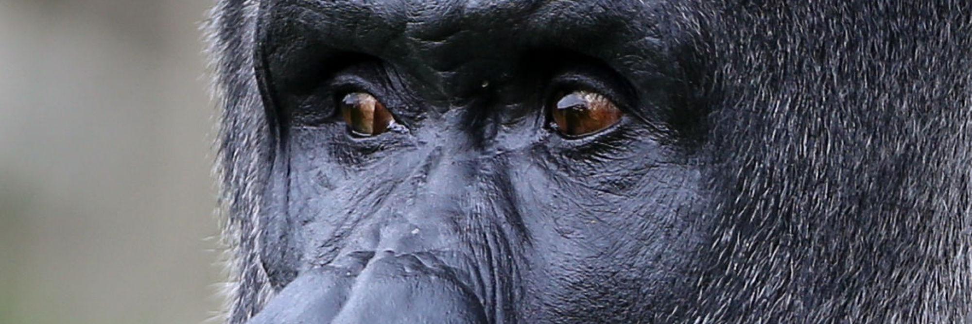 tamesago's profile banner image