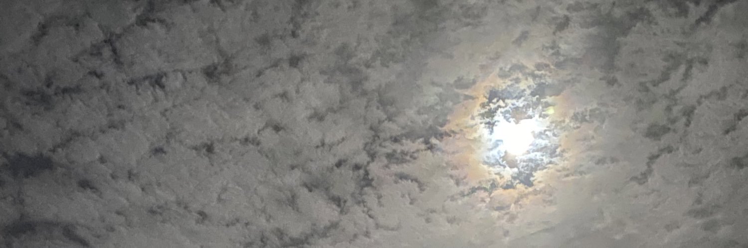Coils_galore's profile banner image