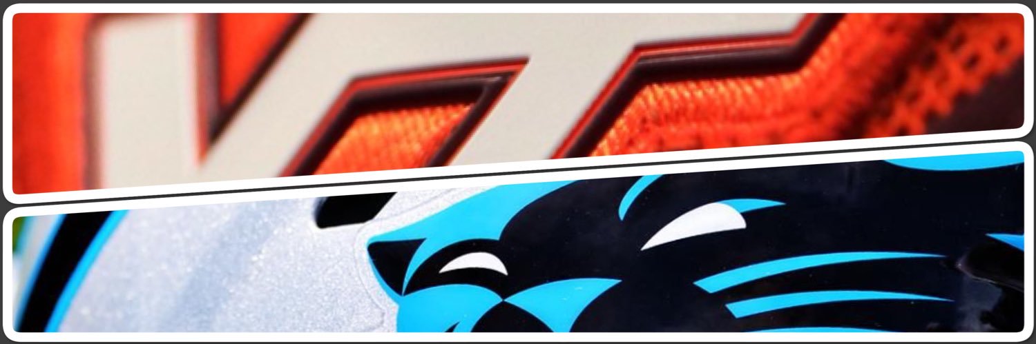 VTandPanthers's profile banner image