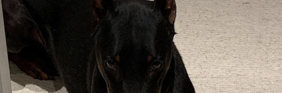 isababexo's profile banner image