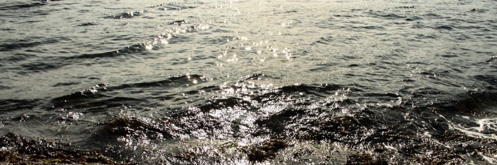 songebbesen's profile banner image
